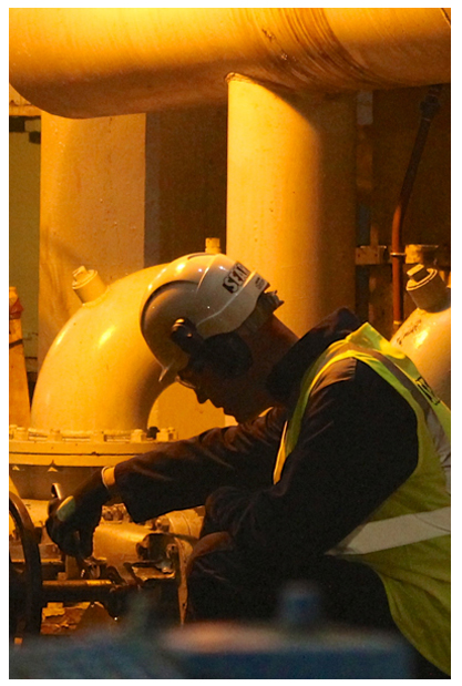 William G Search Seals & Packing